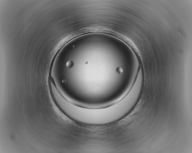 X0000111010946200906261517