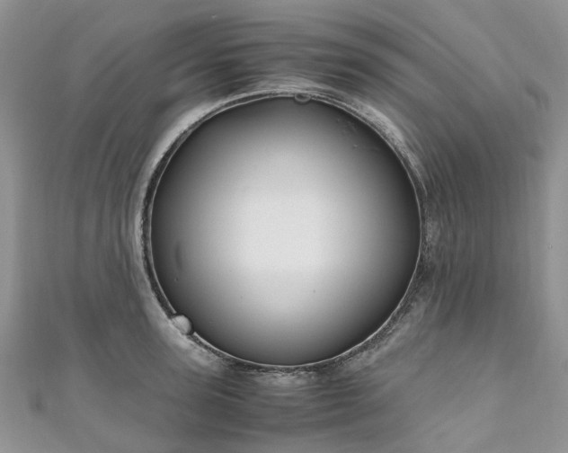X0000111010947200906261517