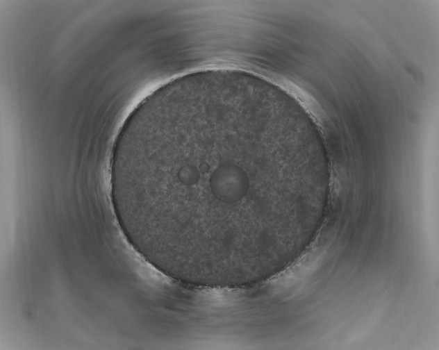X0000111010950200906261517