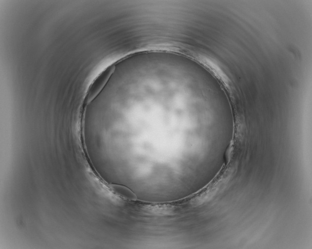 X0000111010952200906261517