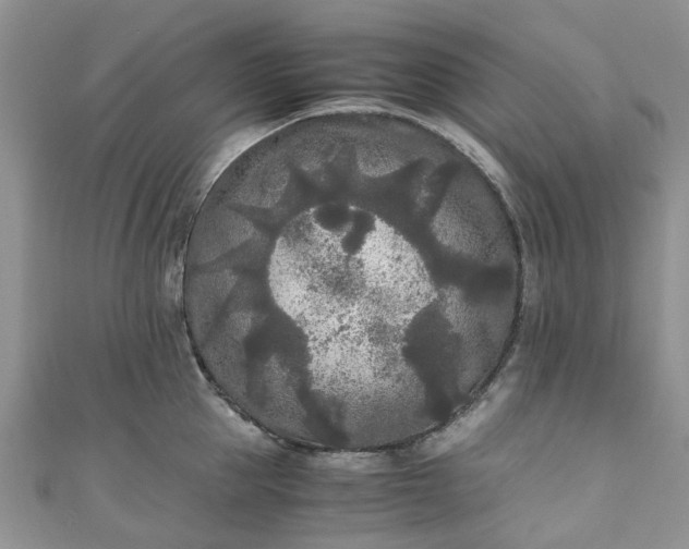 X0000111010953200906261517