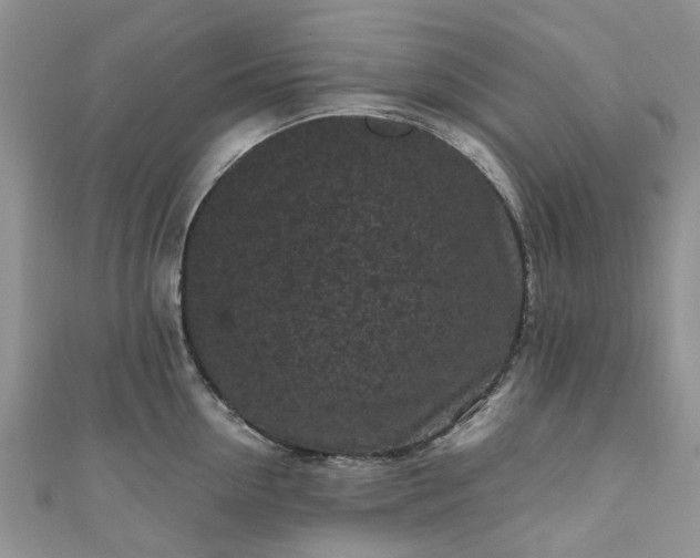 X0000111010954200906261517