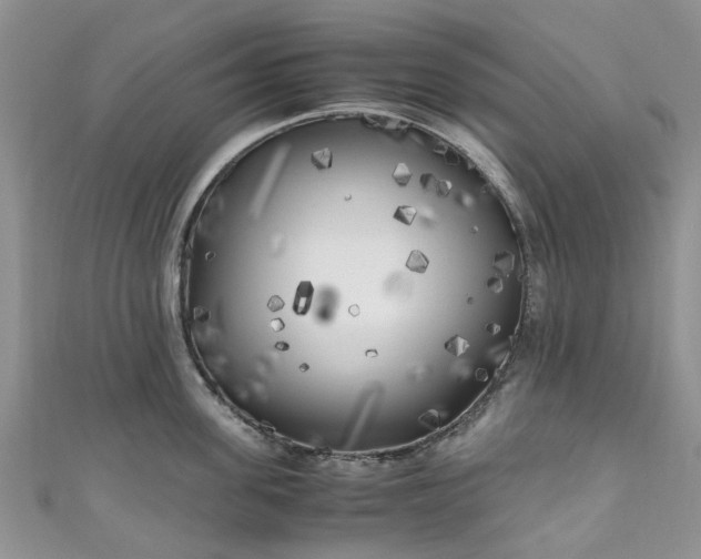 X0000111010955200906261517