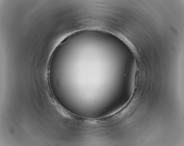 X0000111010956200906261517