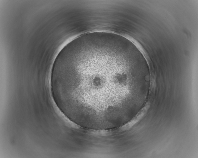 X0000111010957200906261517
