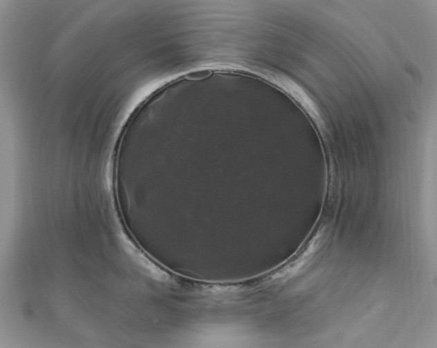 X0000111010958200906261517