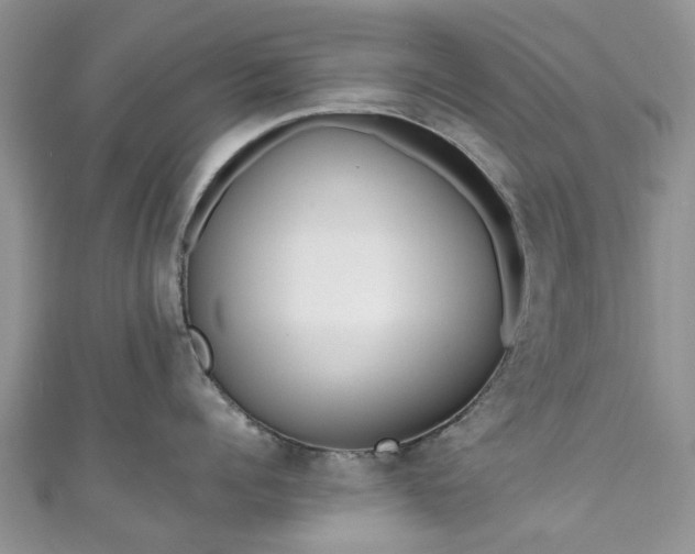 X0000111010960200906261517