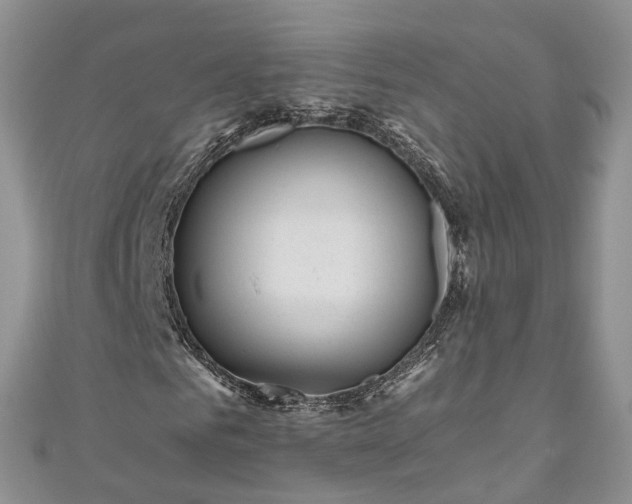 X0000111010961200906261516