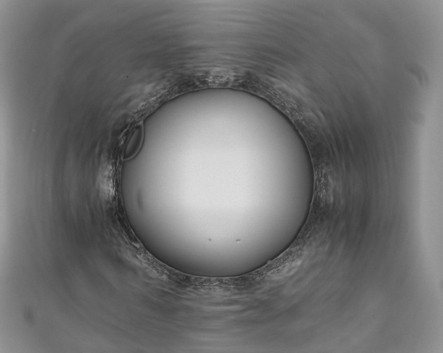 X0000111010962200906261516