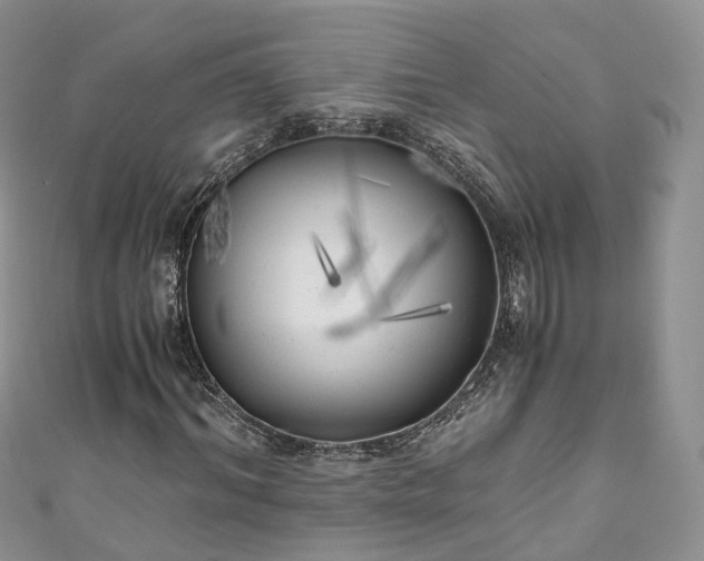 X0000111010964200906261516