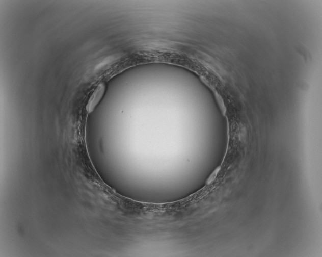 X0000111010965200906261516