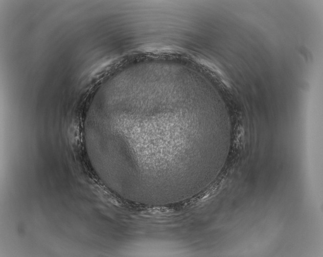 X0000111010966200906261516