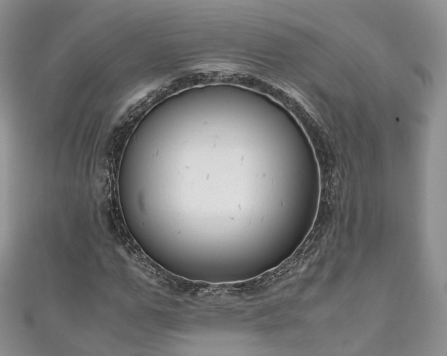 X0000111010967200906261516