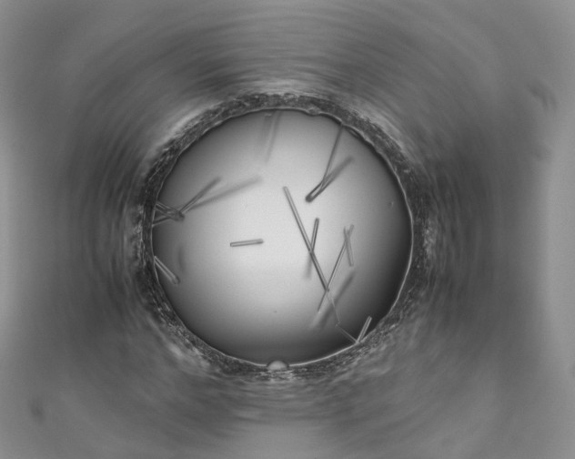 X0000111010968200906261516