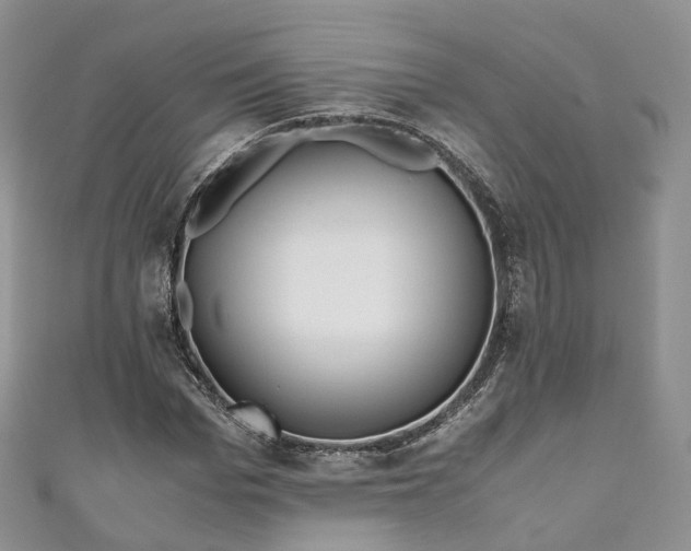 X0000111010969200906261516