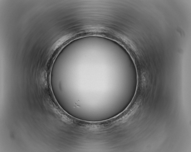 X0000111010970200906261516