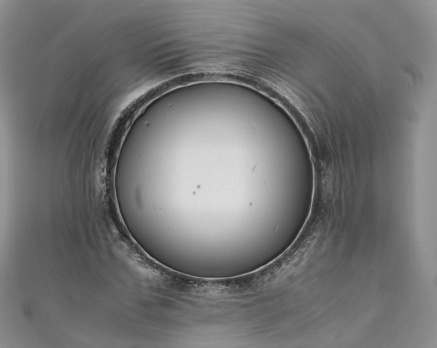 X0000111010971200906261516