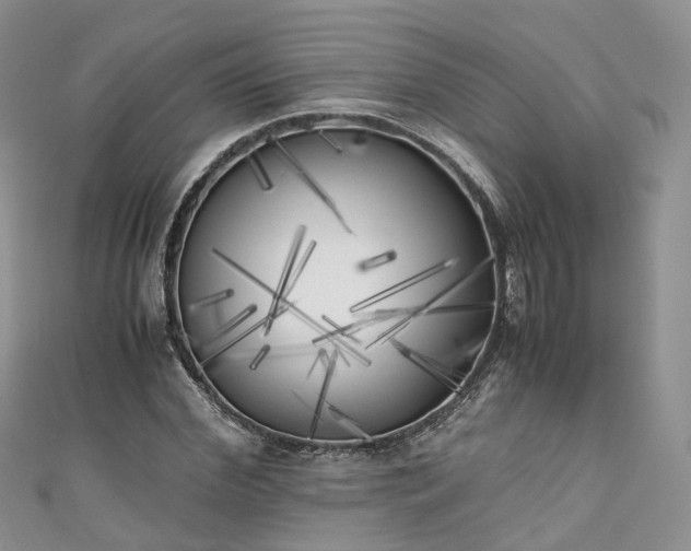 X0000111010972200906261516