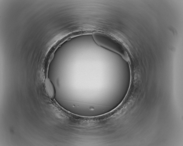 X0000111010973200906261516