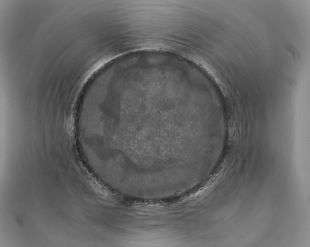 X0000111010975200906261516