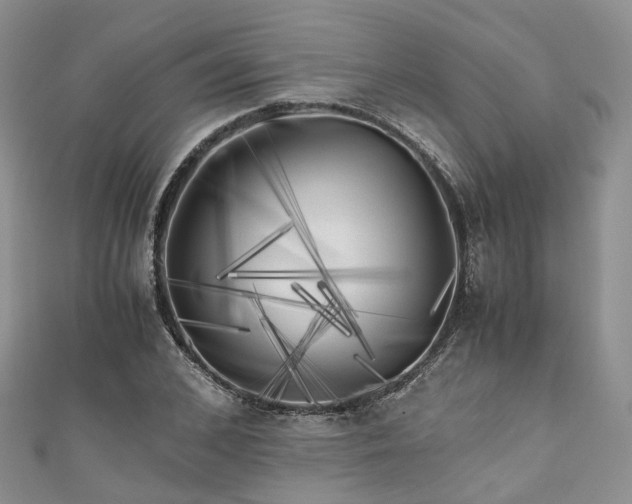 X0000111010976200906261516