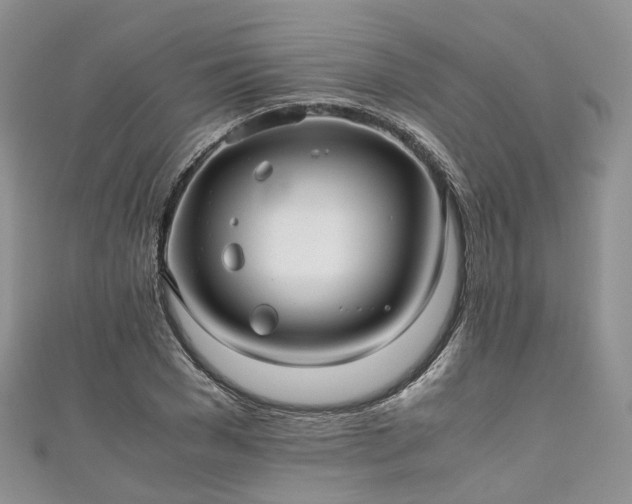 X0000111010977200906261516