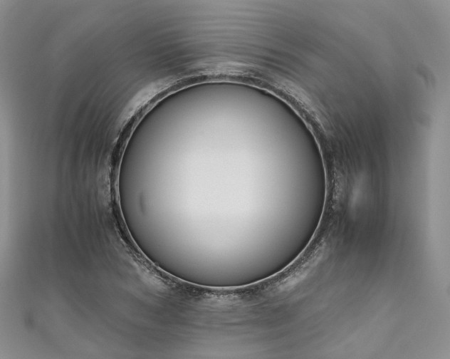 X0000111010978200906261516