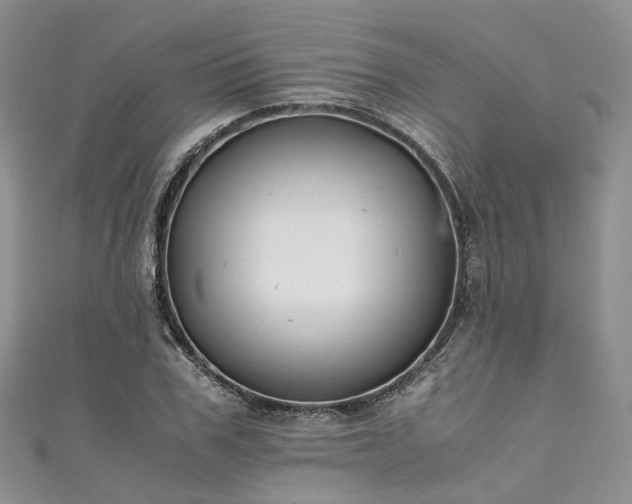 X0000111010979200906261516