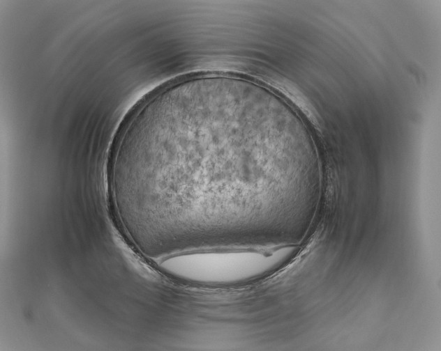X0000111010980200906261516