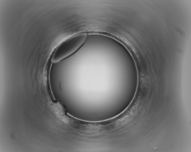 X0000111010981200906261516