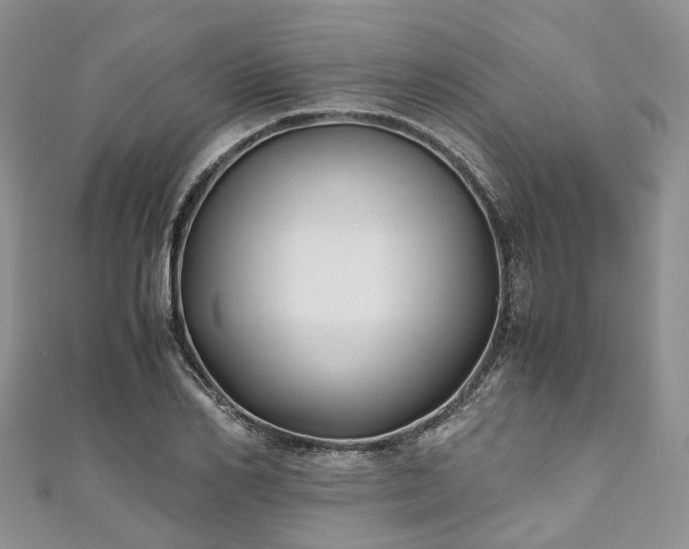 X0000111010982200906261516