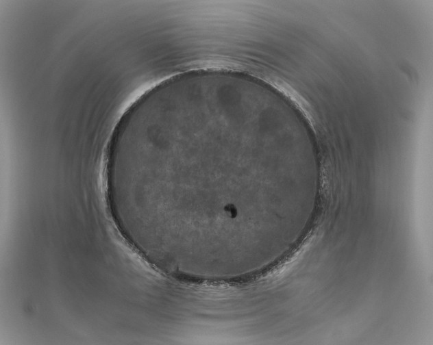X0000111010983200906261516