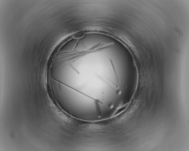 X0000111010984200906261516