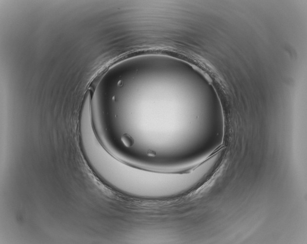 X0000111010985200906261516