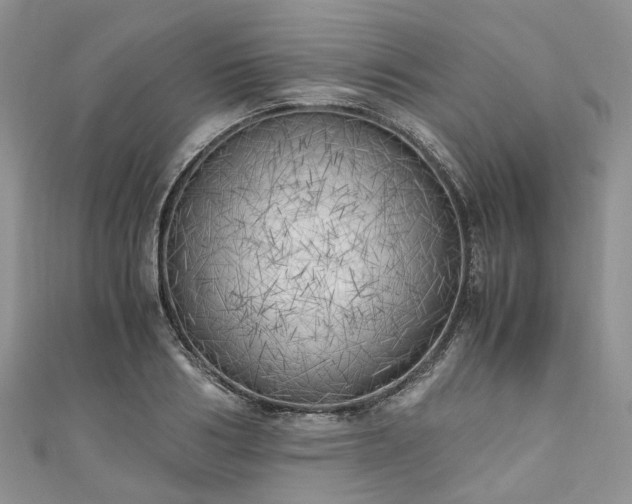 X0000111010986200906261516