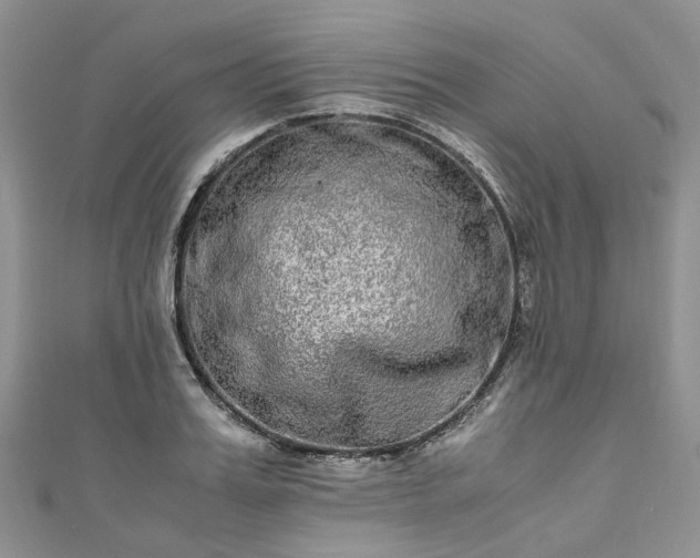 X0000111010987200906261516