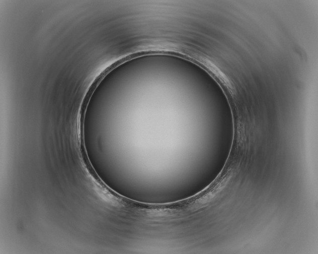 X0000111010988200906261516