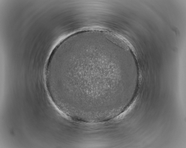 X0000111010989200906261516