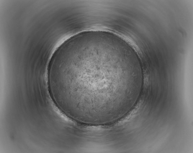X0000111010990200906261516