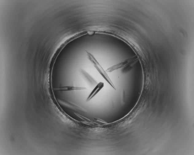 X0000111010992200906261516