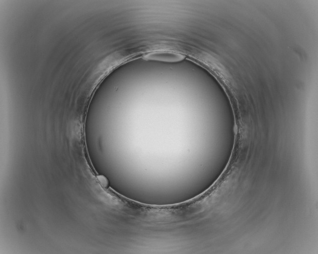 X0000111010993200906261516