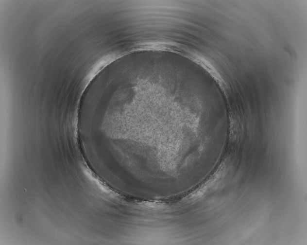 X0000111010994200906261516