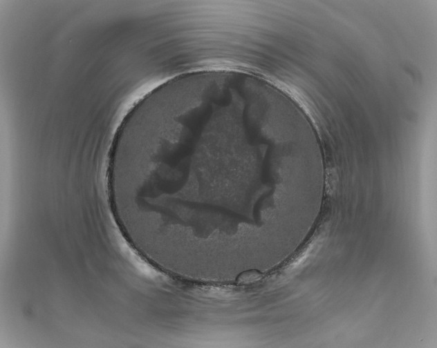 X0000111010995200906261516