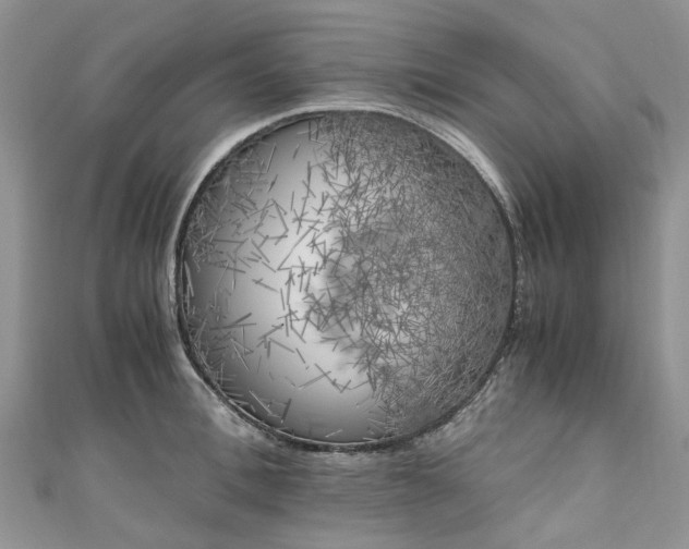 X0000111010996200906261516