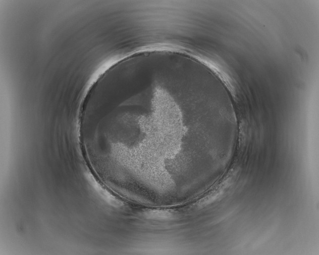 X0000111010998200906261516