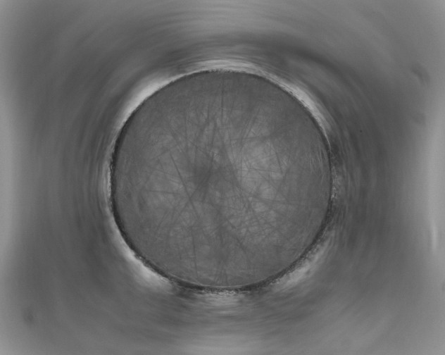 X0000111010999200906261516