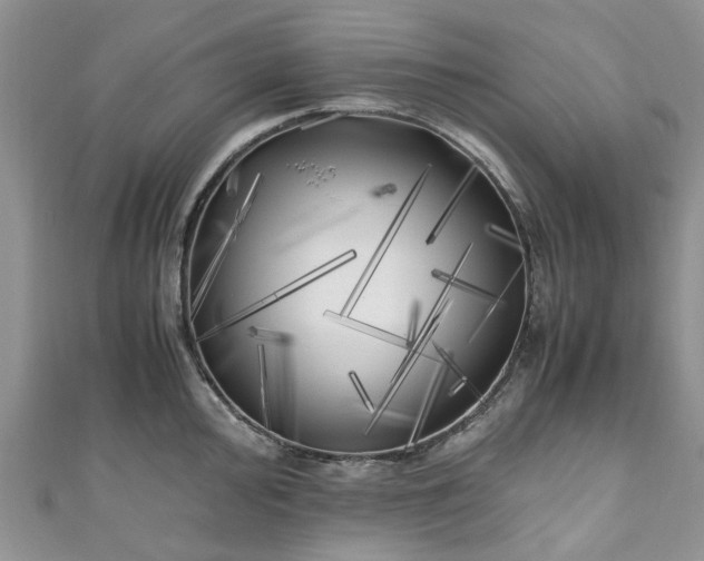 X0000111011000200906261516