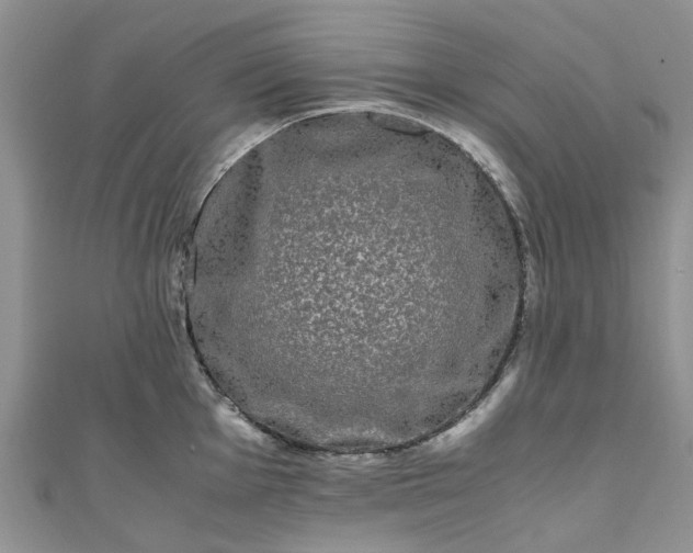 X0000111011001200906261516