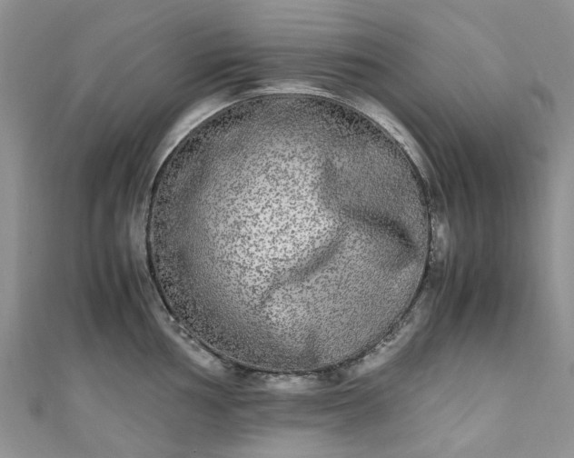 X0000111011002200906261516