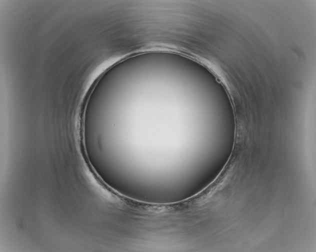 X0000111011003200906261516